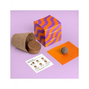 KIT DE CULTIVO URBAN FLOWERS MORADO