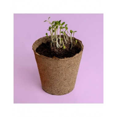 KIT DE CULTIVO URBAN FLOWERS MORADO