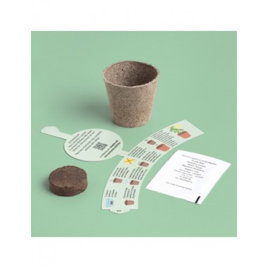 KIT HUERTO BIO PRIMER CULTIVO ALBAHACA