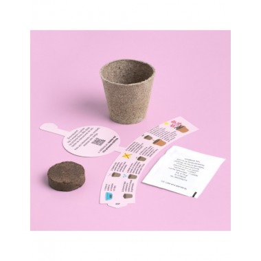 KIT HUERTO BIO PRIMER CULTIVO FLORES