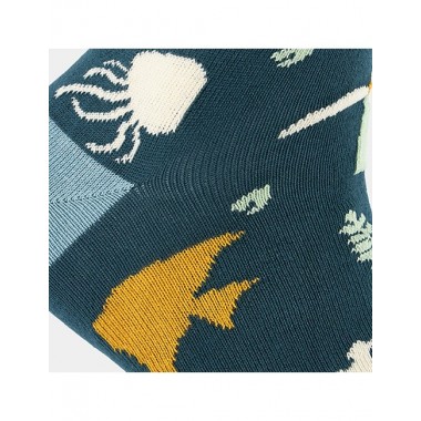 CALCETINES DE ALGODÓN ORGÁNICO EN CAJA REGALO FUN CLIMA VERALUNA