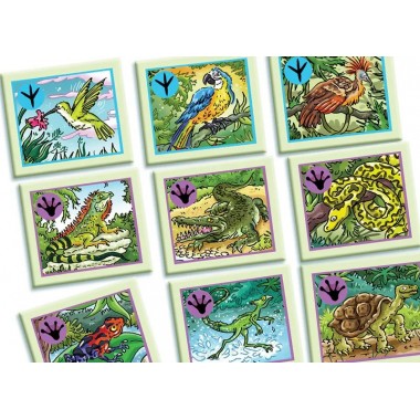 JUEGO EDUCATIVO ECO COOPERATIVO EXPEDICION AMAZONAS