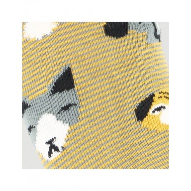 CALCETINES DE ALGODÓN ORGÁNICO EN CAJA REGALO FUN NATURA VERALUNA