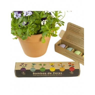 KIT AUTOCULTIVO PACK 6 BOMBAS FLORES